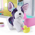 American Girl® Pet Spa & Daycare