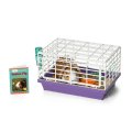 Courtney's™ Guinea Pig (Historical Characters)