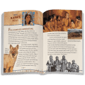 The Journey Begins: Kaya Book 1  (Historical Characters)