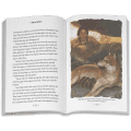 Smoke in the Wind: Kaya Book 2  (Historical Characters)