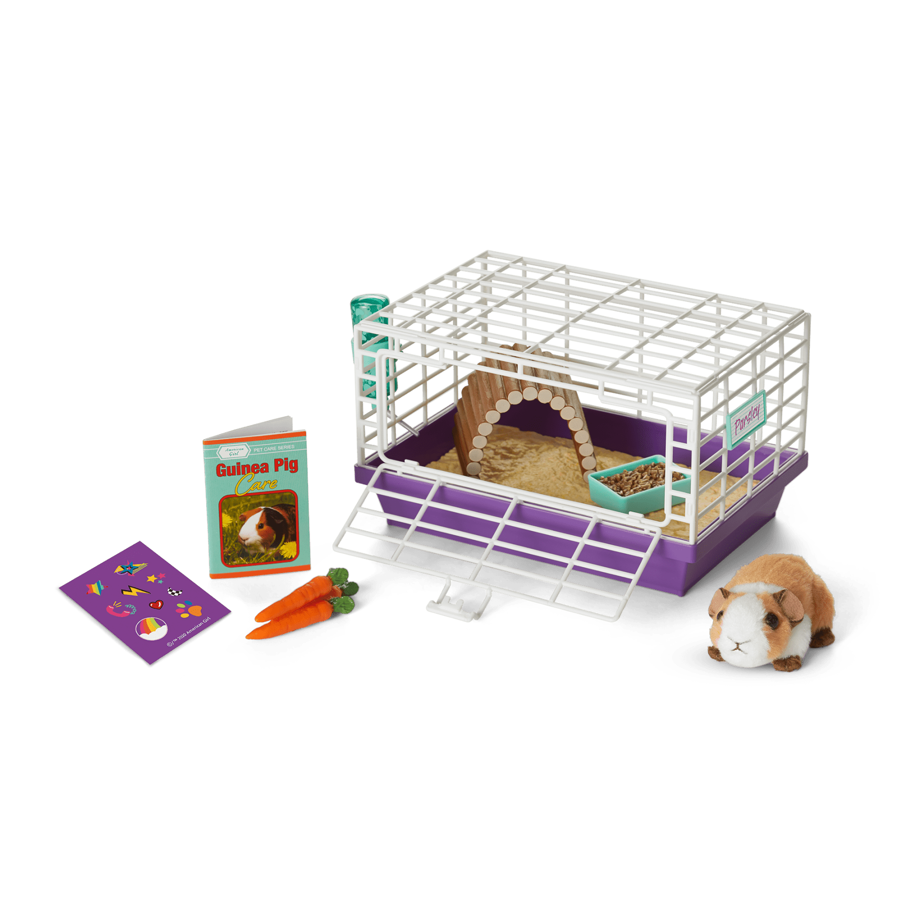 Courtney s Guinea Pig American Girl