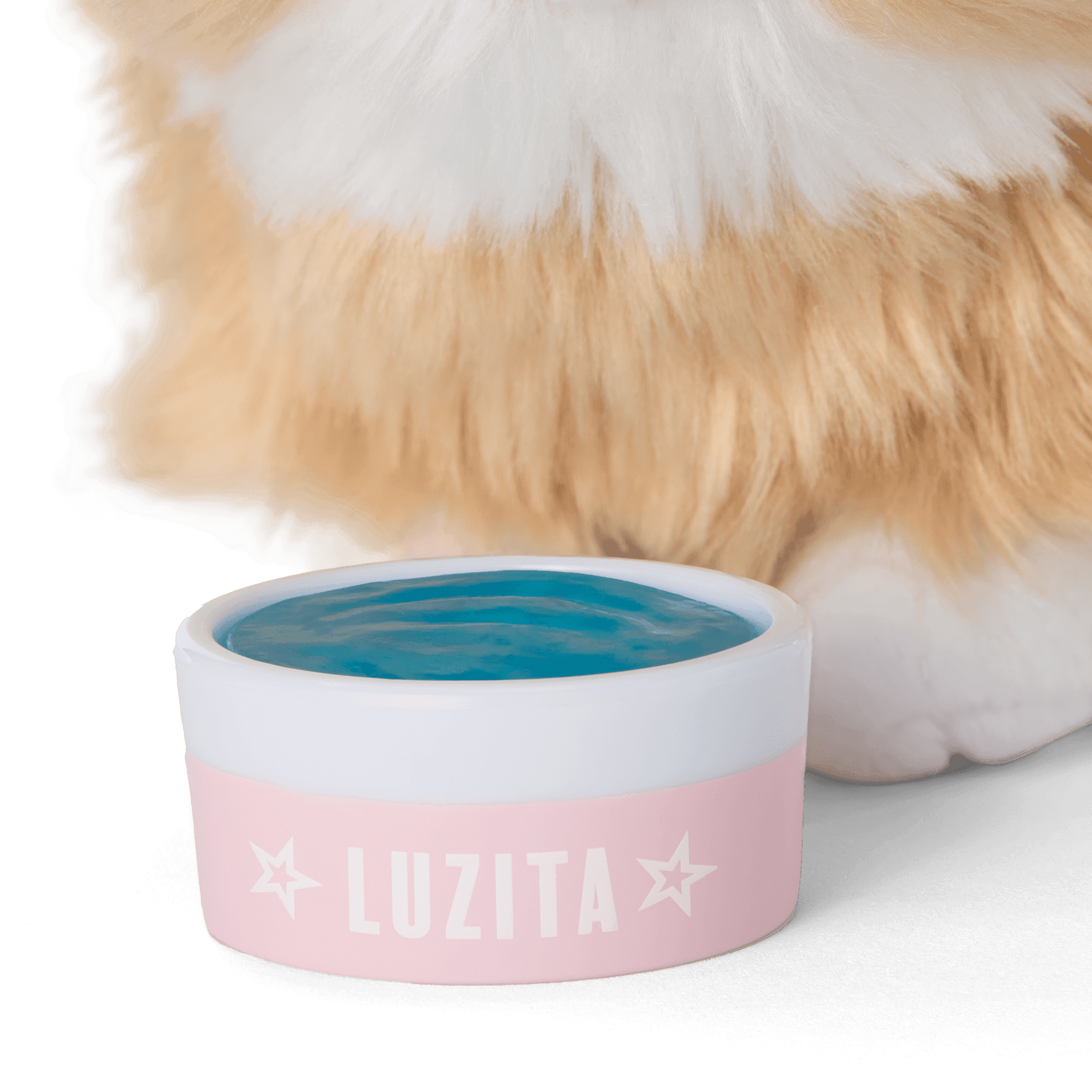 Raquel's™ Dog, Luzita™ (Girl of the Year™ 2026)