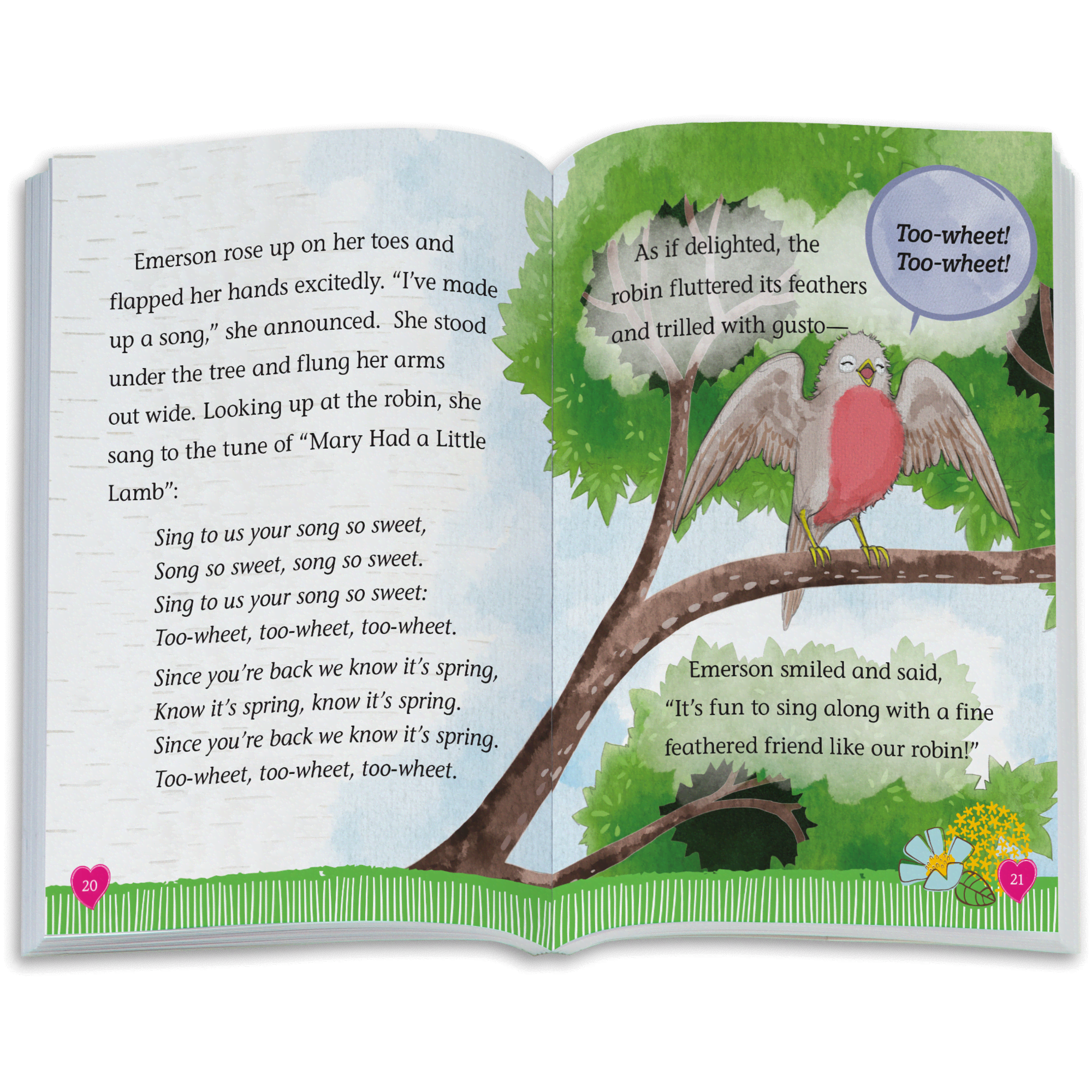 The Riddle of the Robin Book (WellieWishers™)