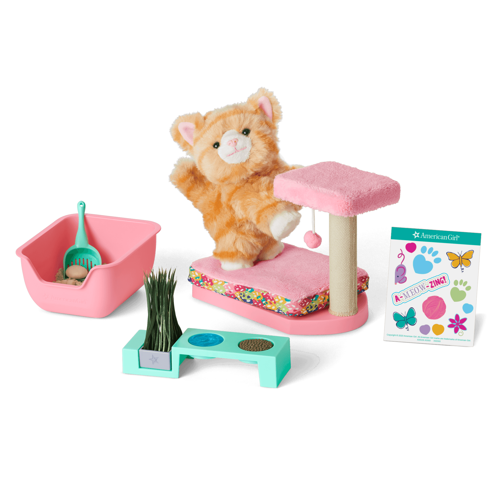 Cat Care Essentials