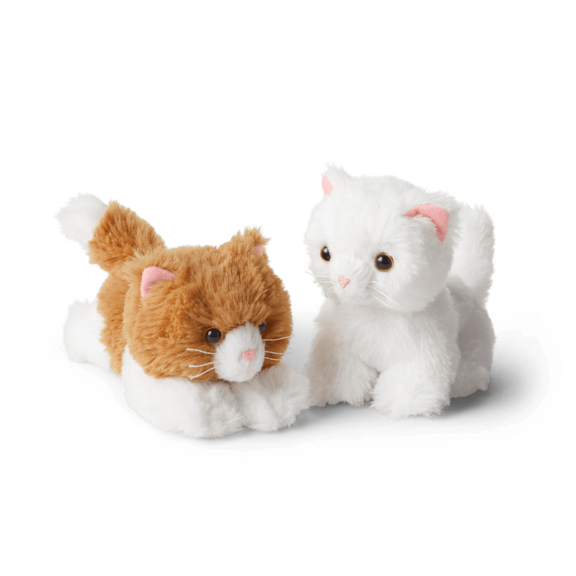 Rebecca's Kittens American Girl - Main Image