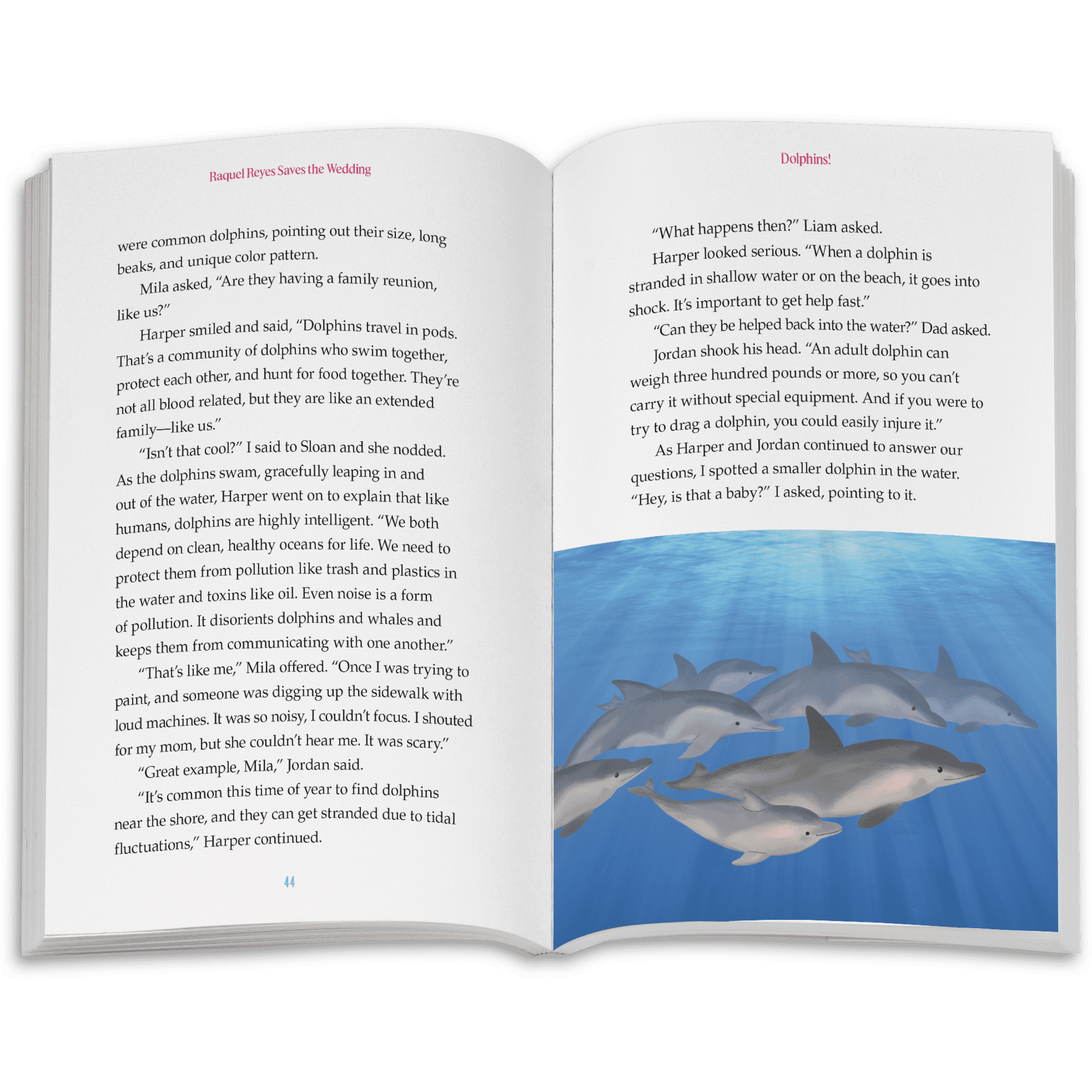 Raquel Reyes Saves the Wedding Book (Girl of the Year™ 2026)