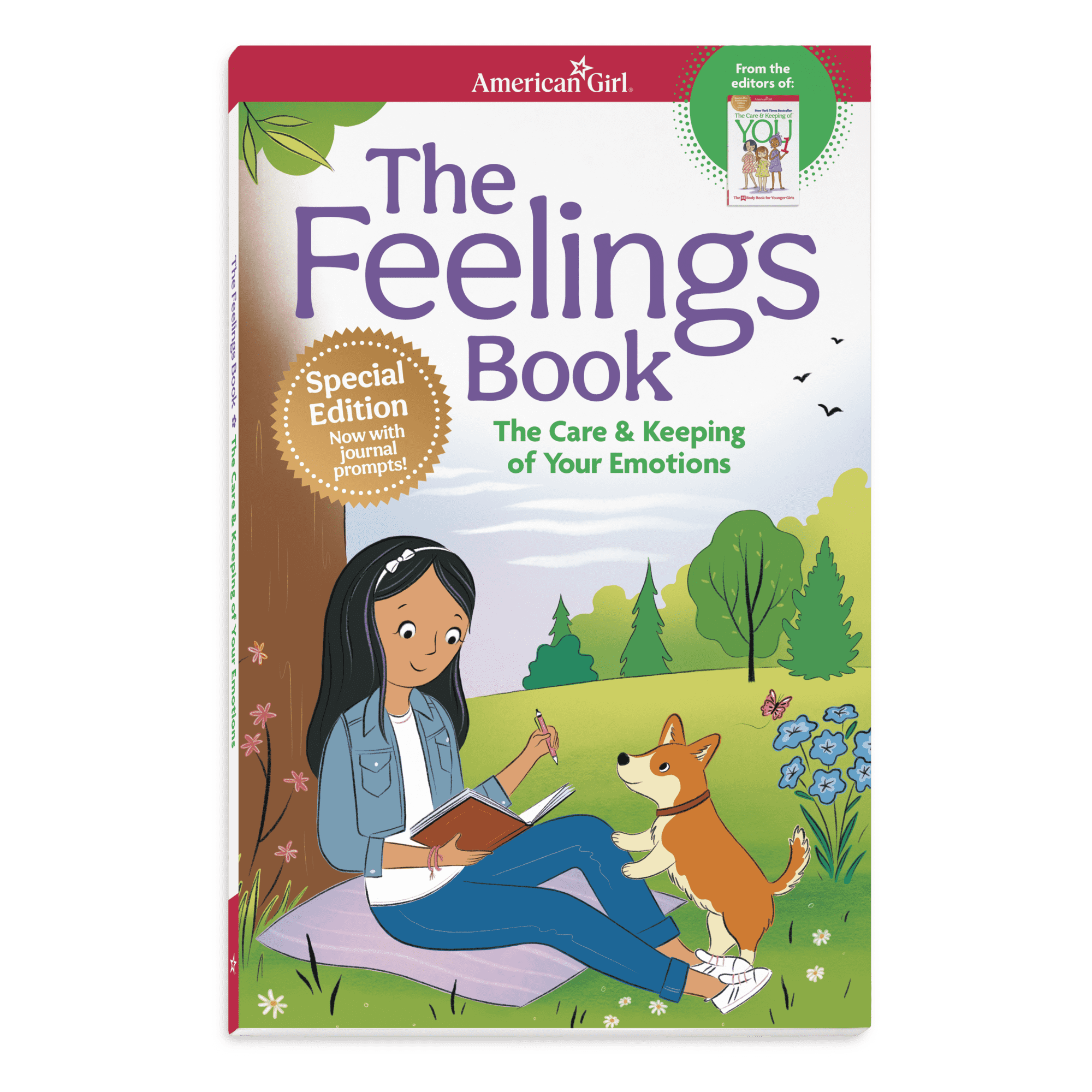 The Feelings Book: The Care & Keeping of Your Emotions