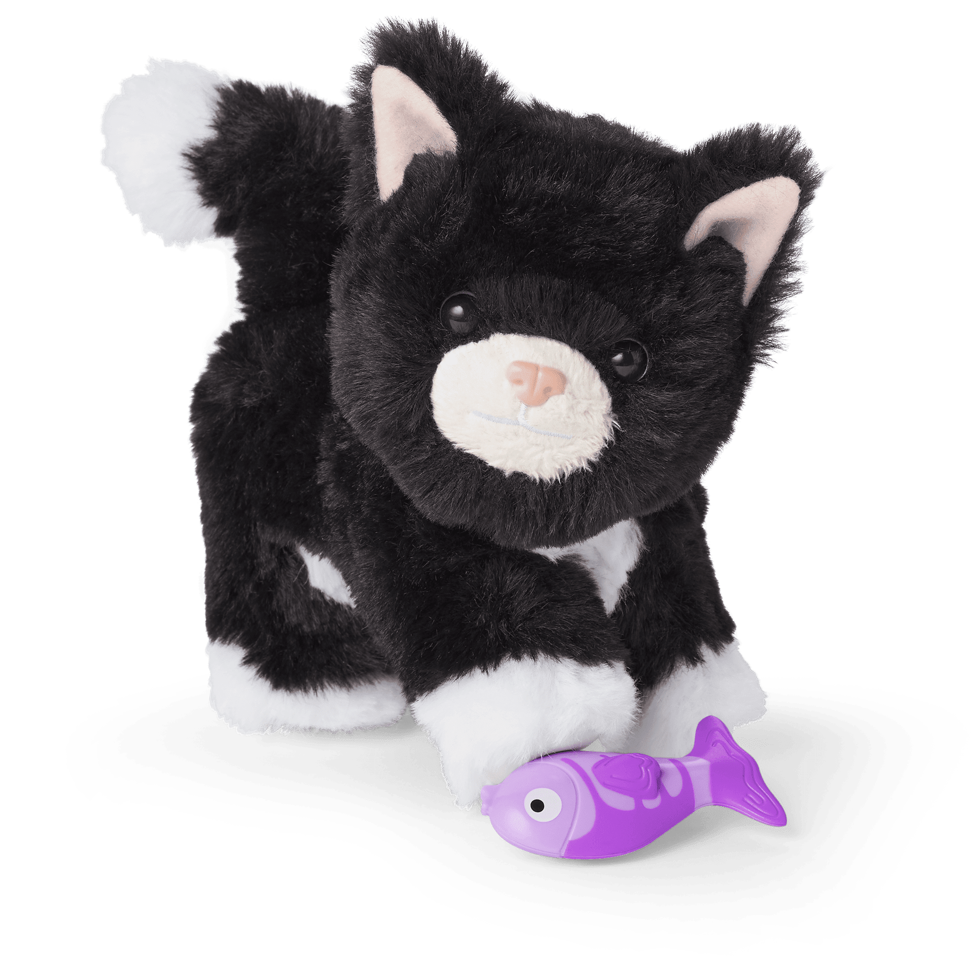 American girl tuxedo cat deals