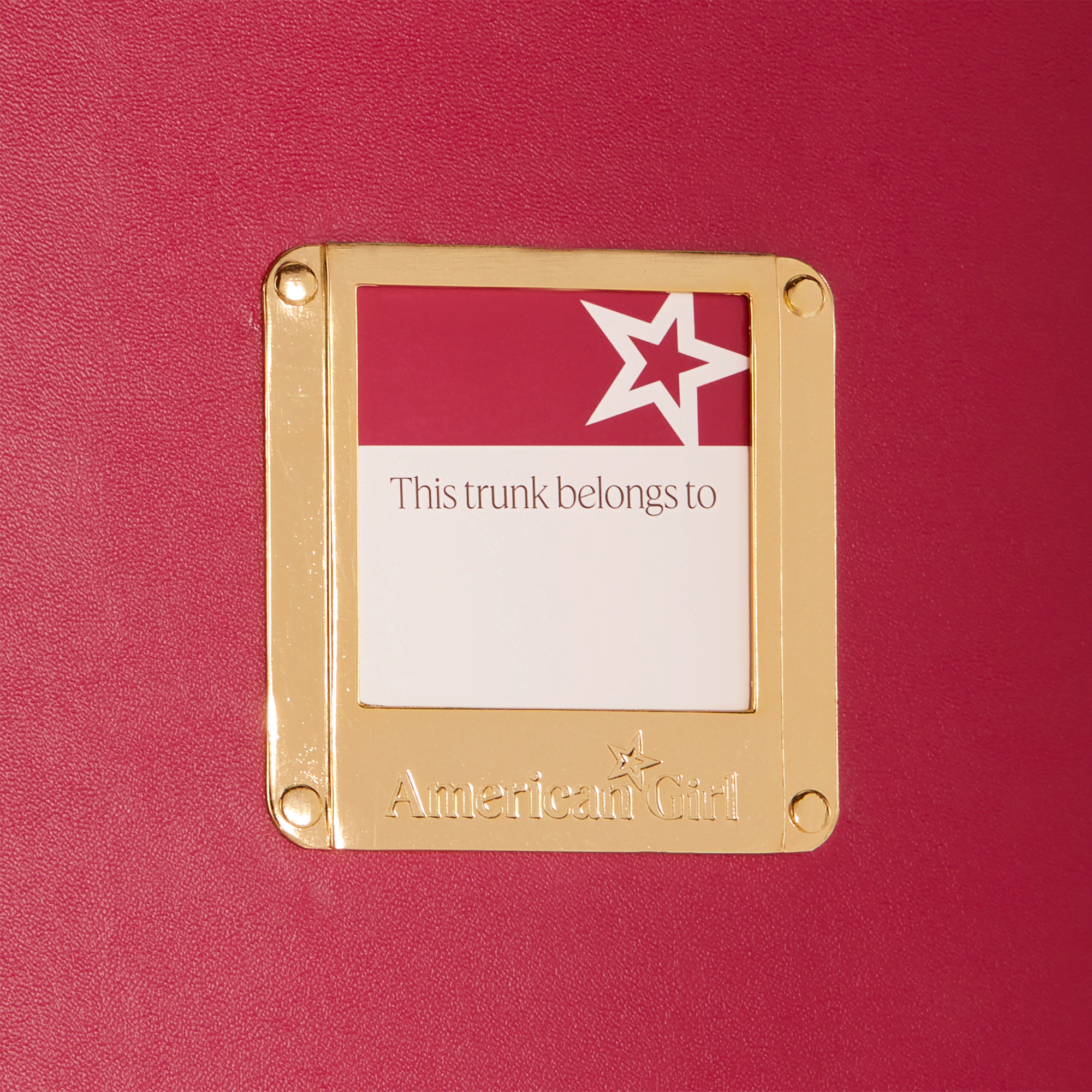 American Girl® Doll Storage Trunk