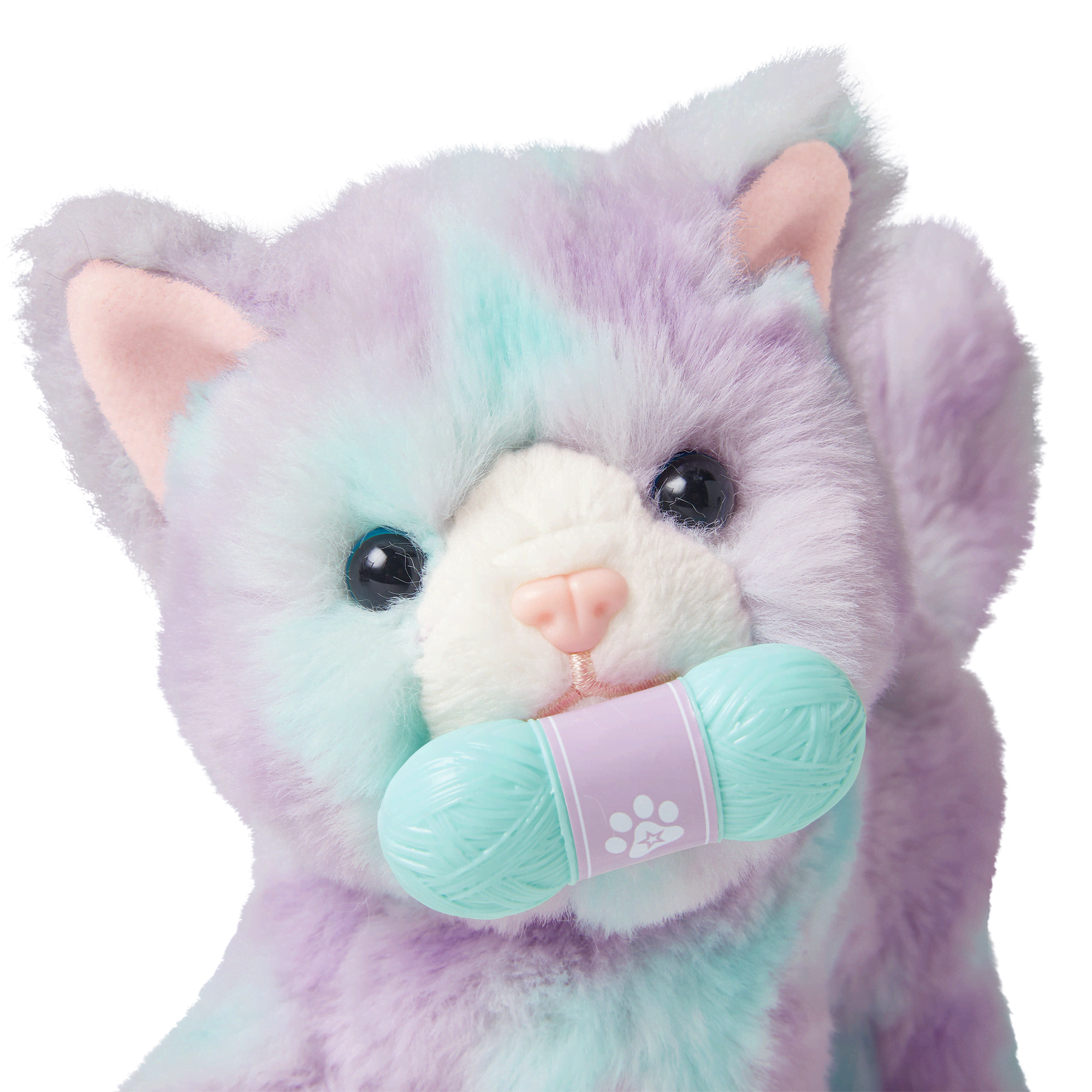 American girl pet cat sales