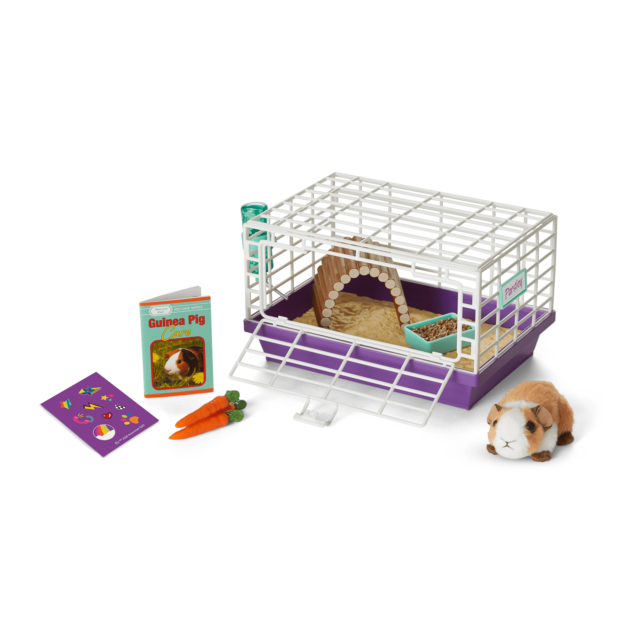 Courtney's™ Guinea Pig American Girl