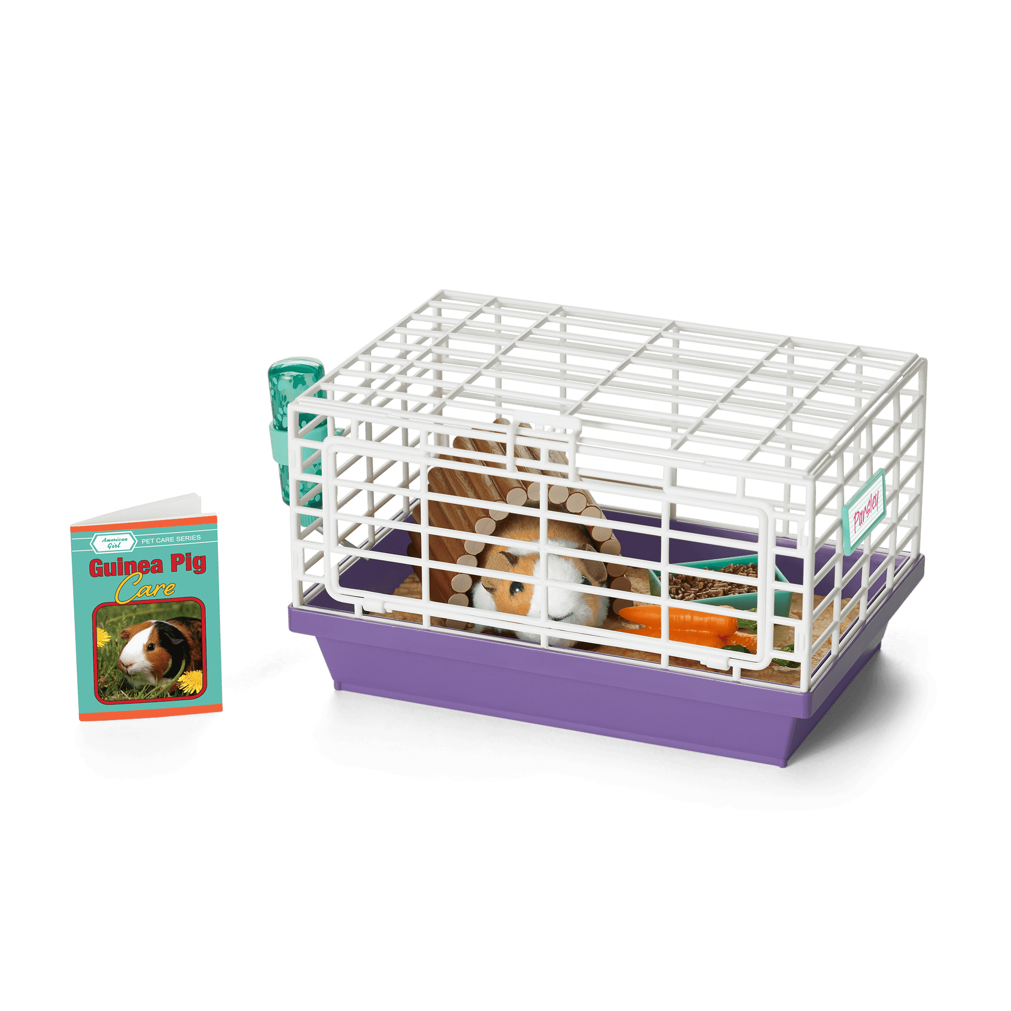 Courtney's™ Guinea Pig (Historical Characters)