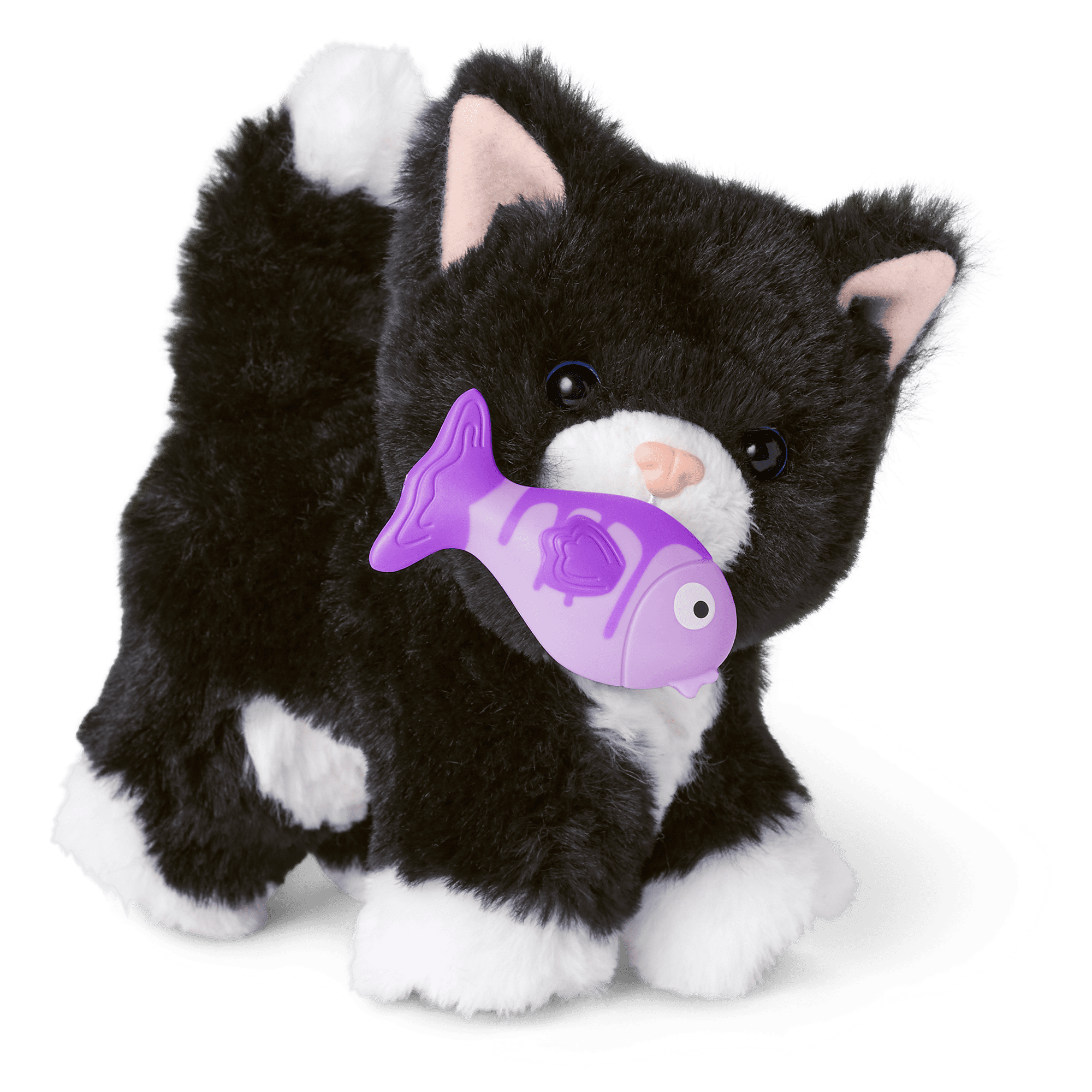 American girl black cat 2025