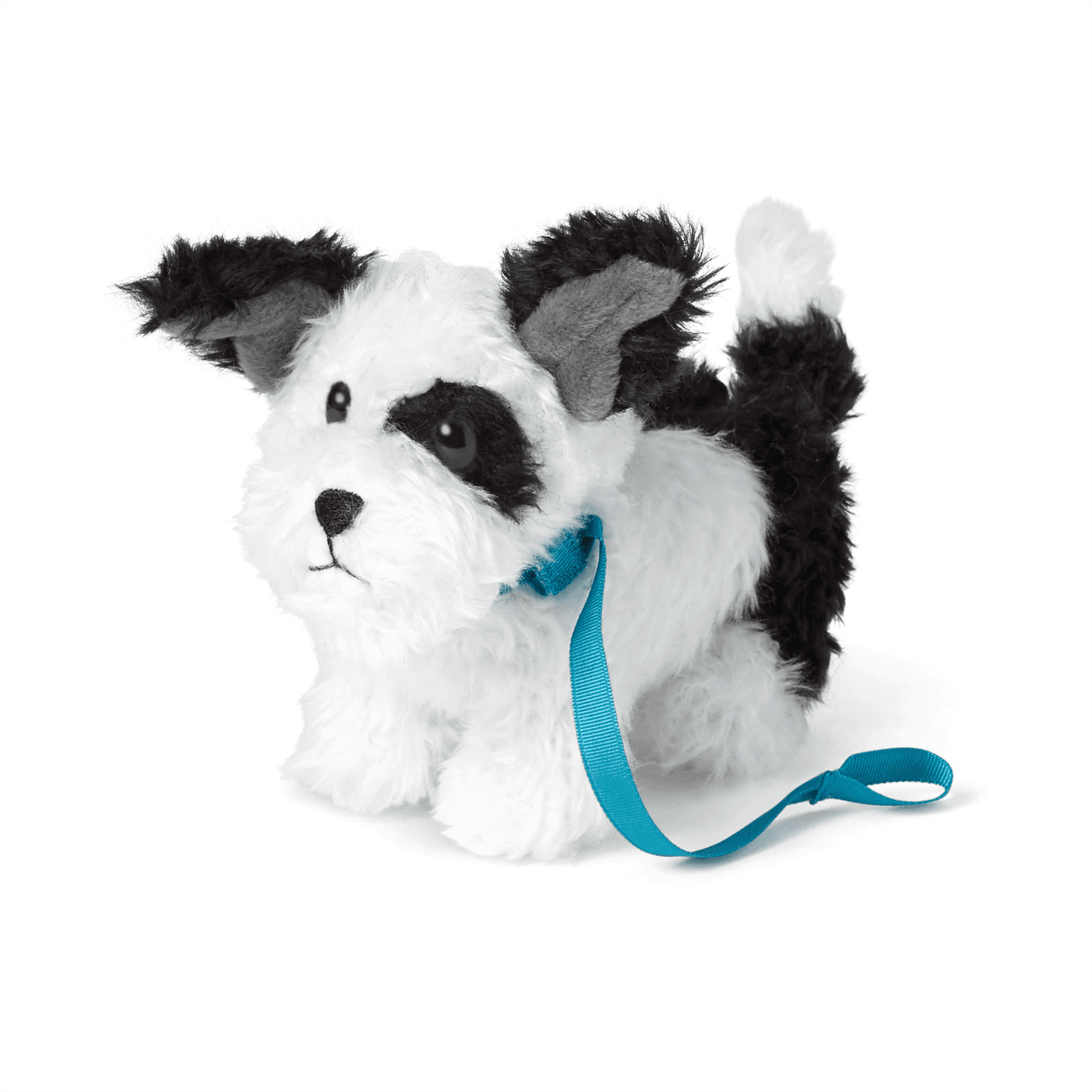Melody s Dog Bo
