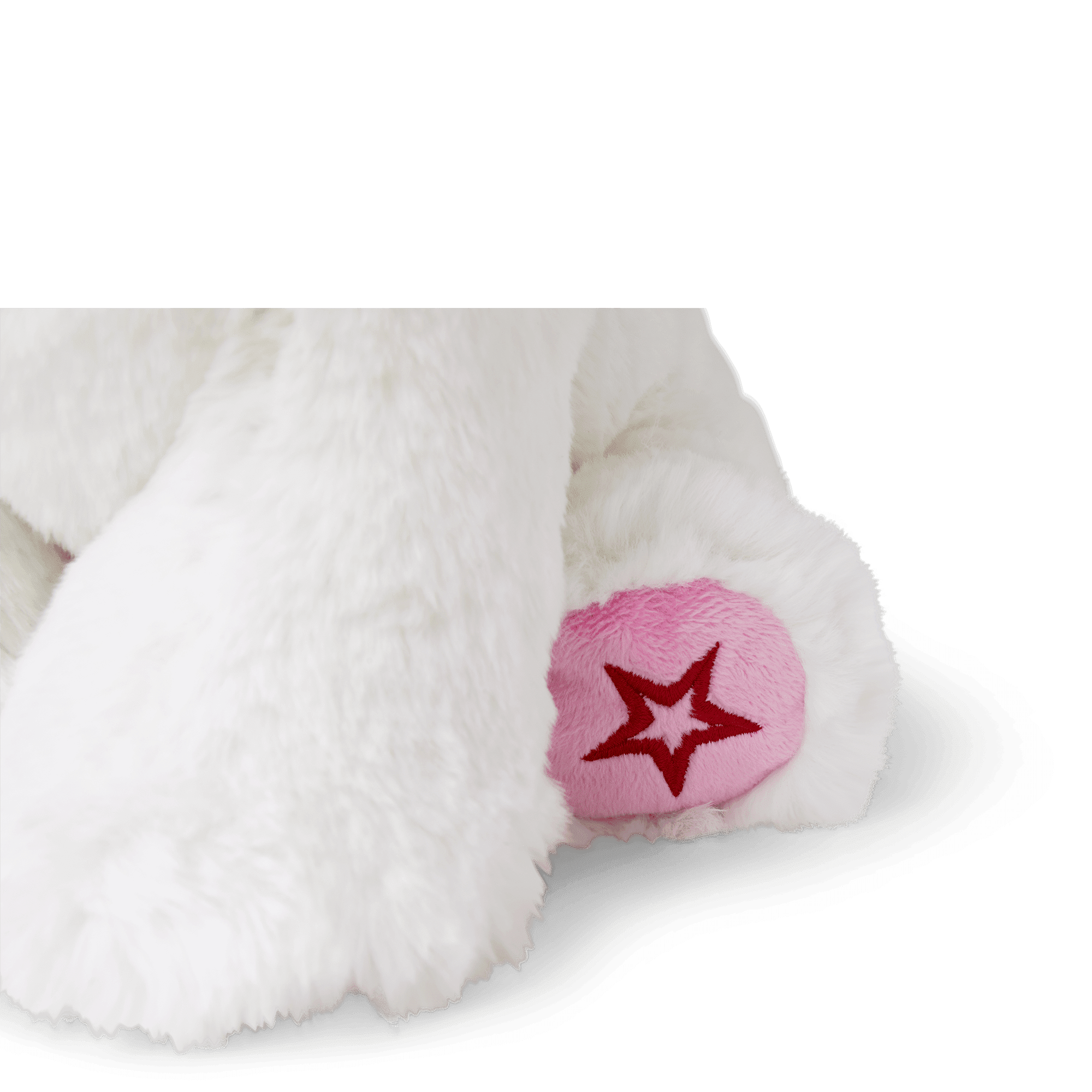 Coconut Chip™ Dog Bundle