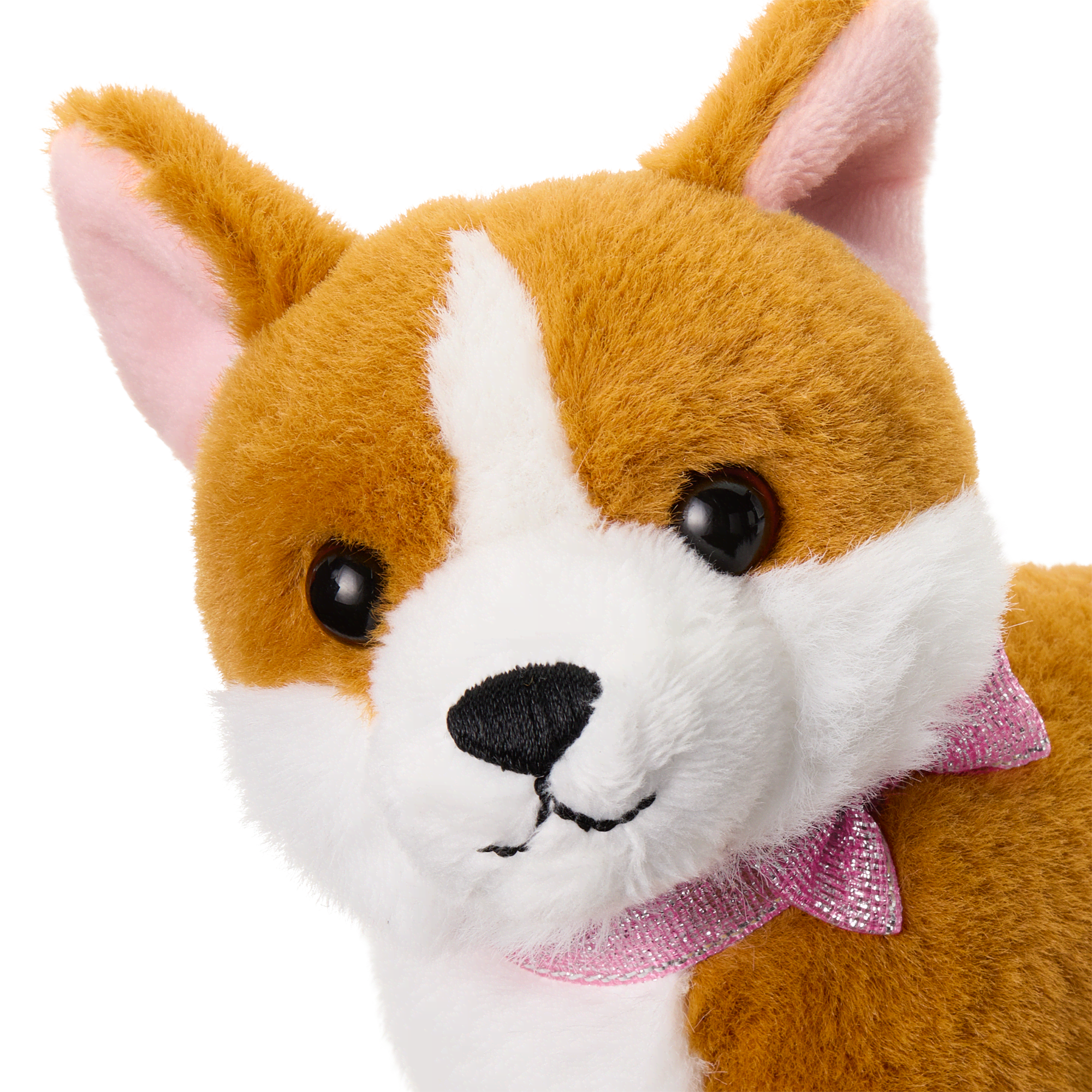 American girl corgi online