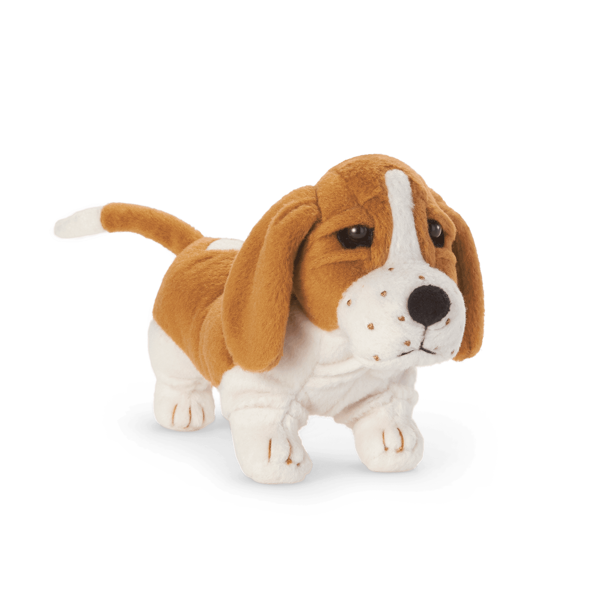 Kit s Dog Grace Historical Characters