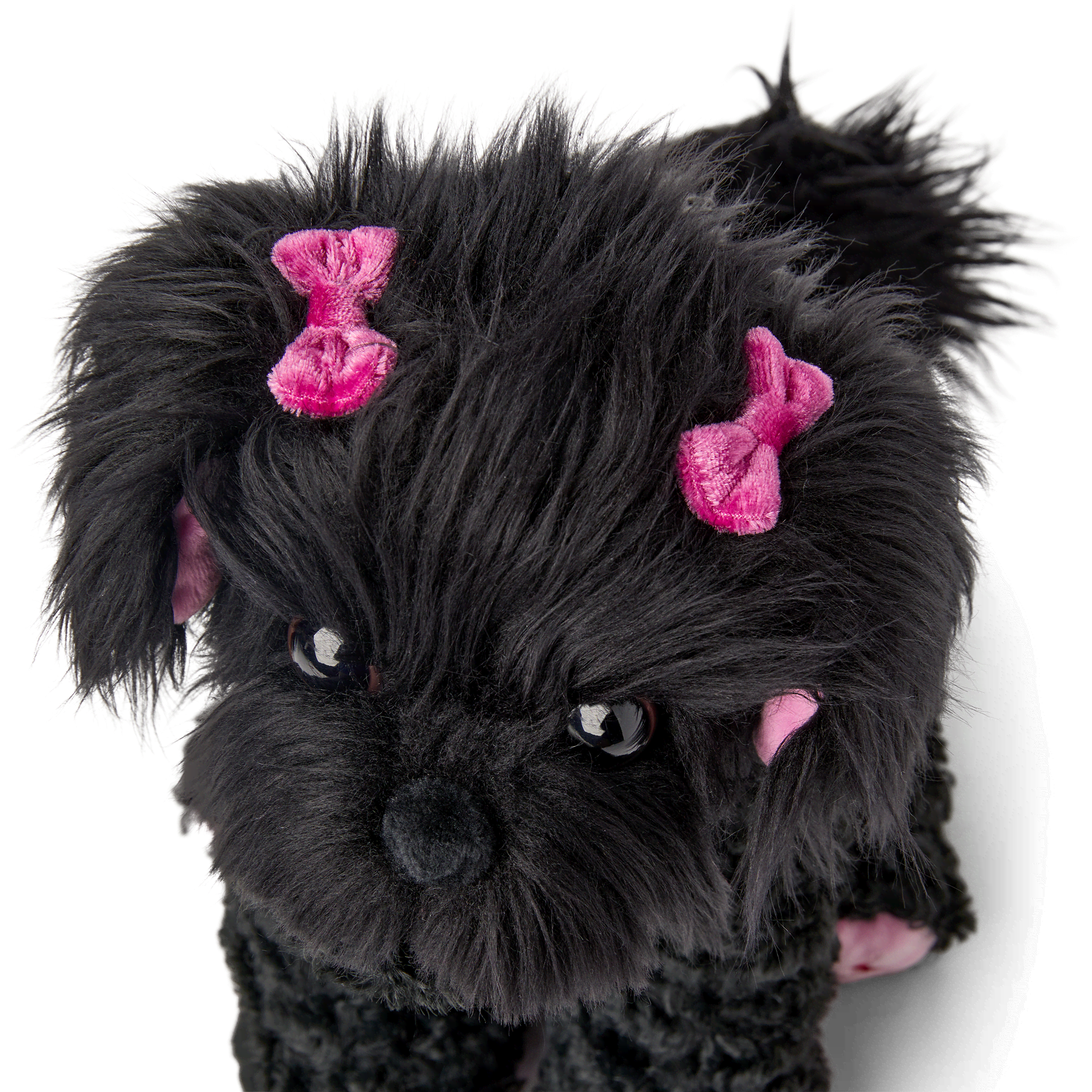 Shi-Poo Sweetie Dog Bundle
