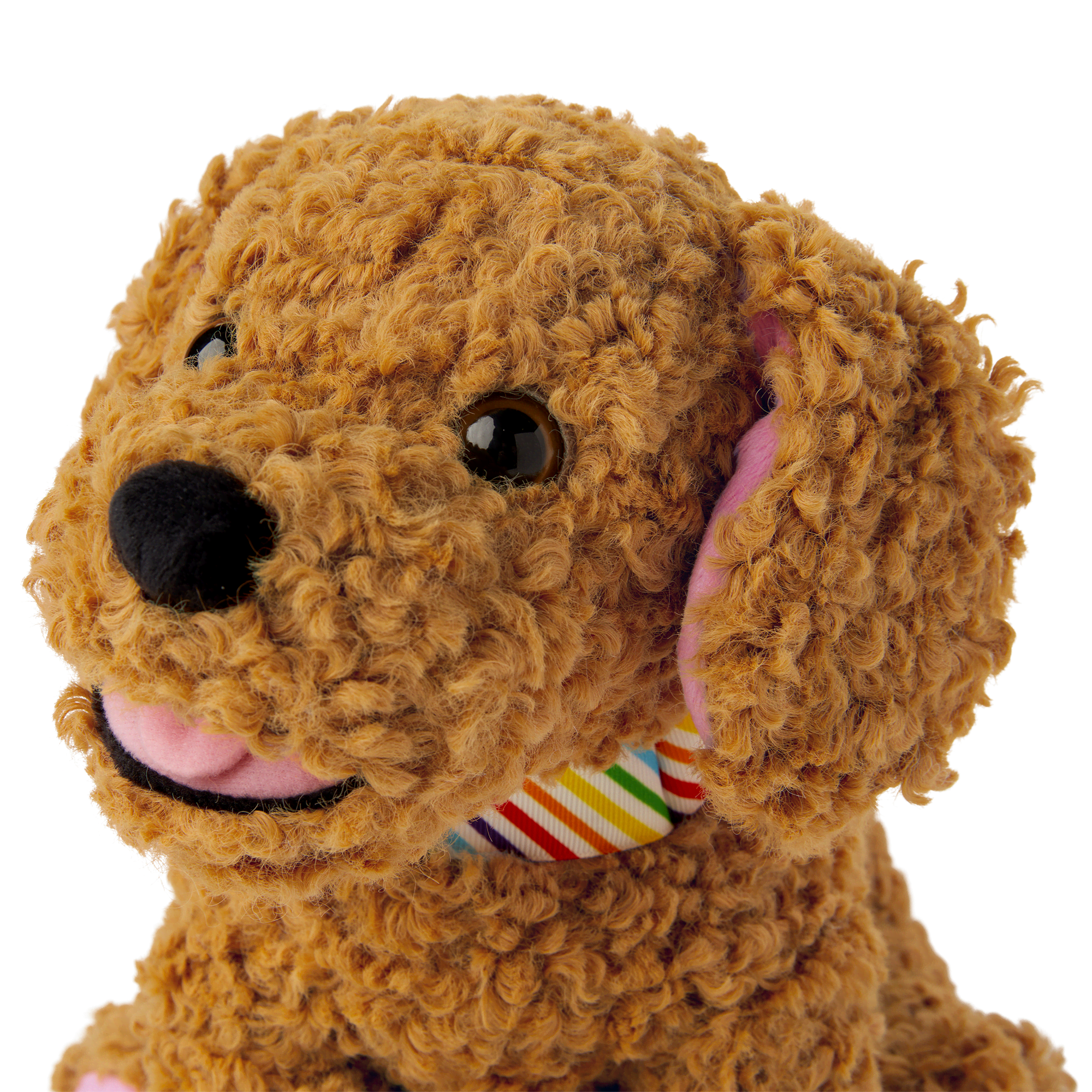 Daffodil Doodle™ Dog Bundle