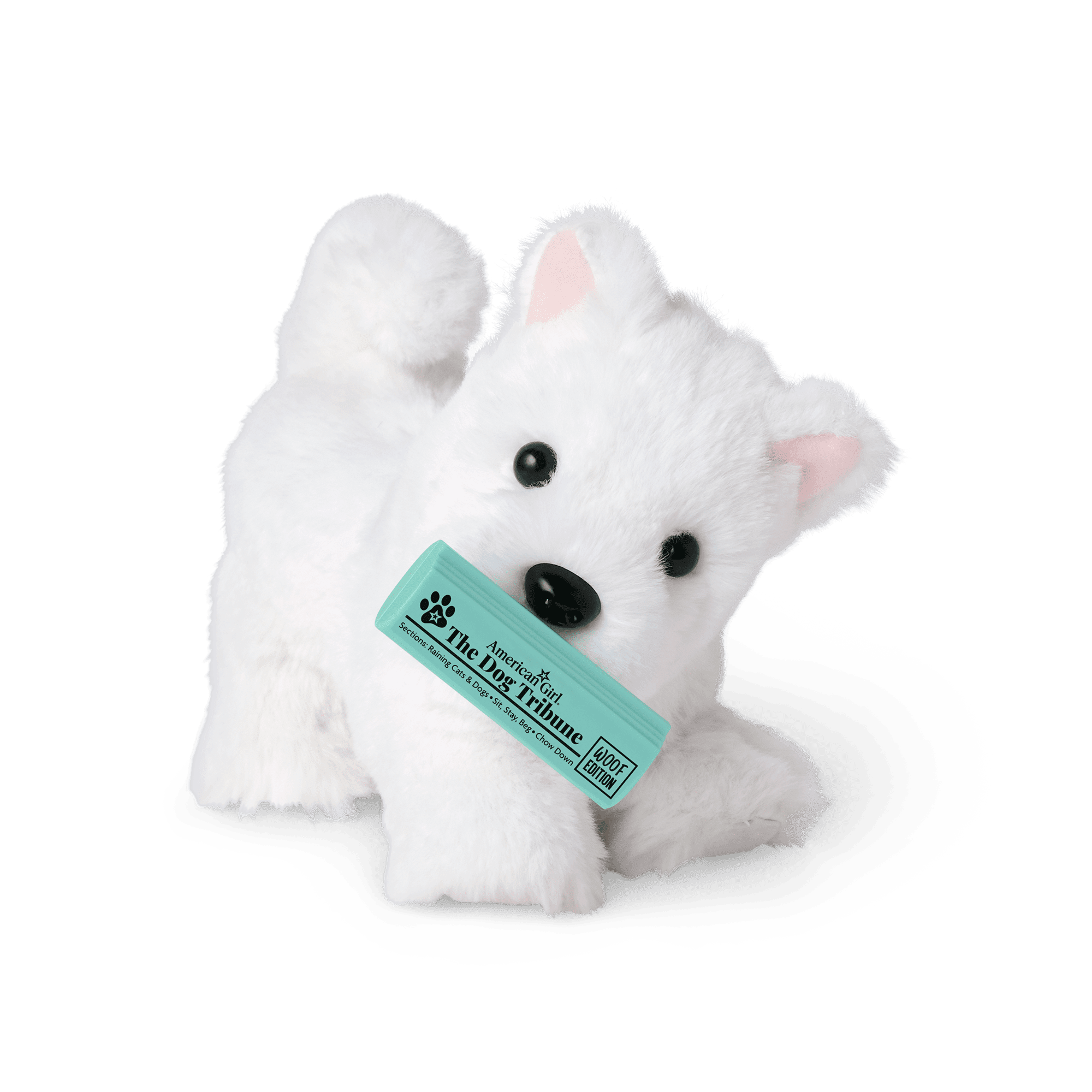 Coconut Chip™ Dog Bundle