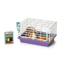 Courtney s Guinea Pig American Girl