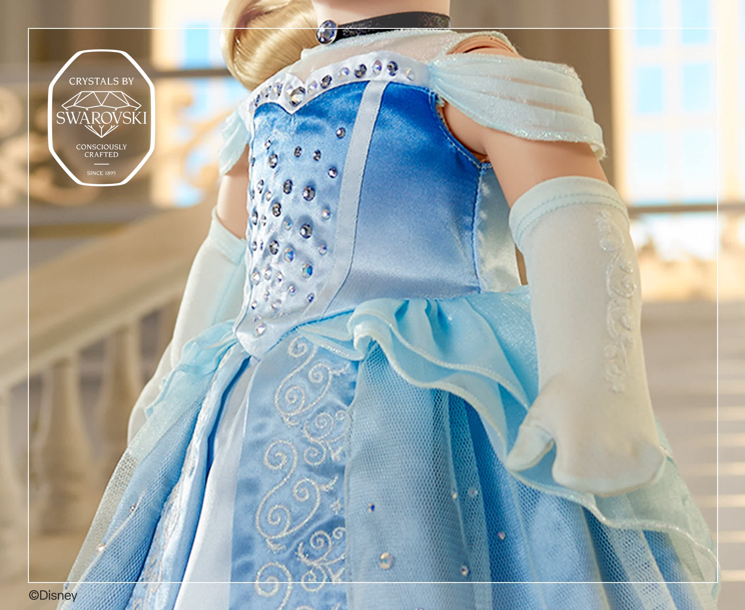 Cinderella bodice detail