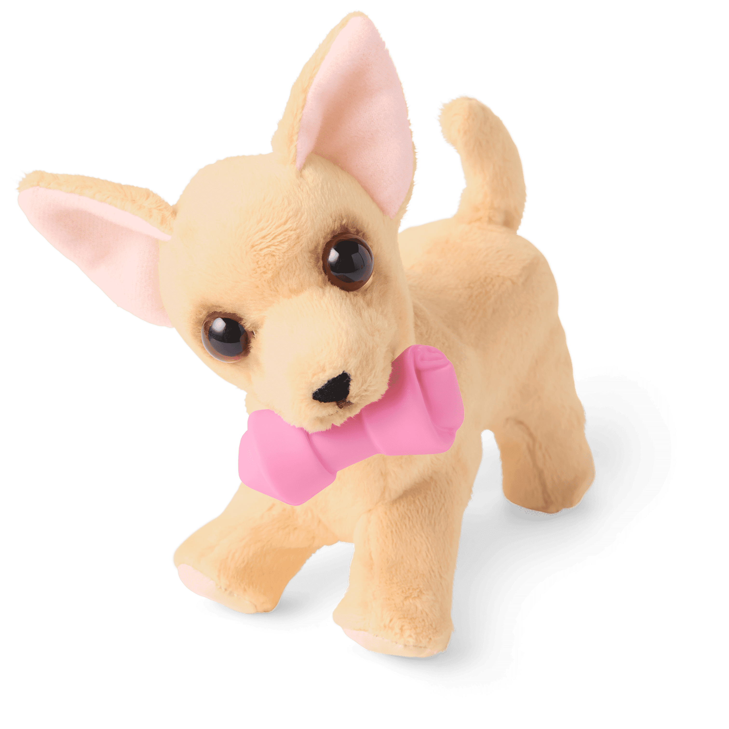 Coconut Chip Dog Plush for Girls American Girl