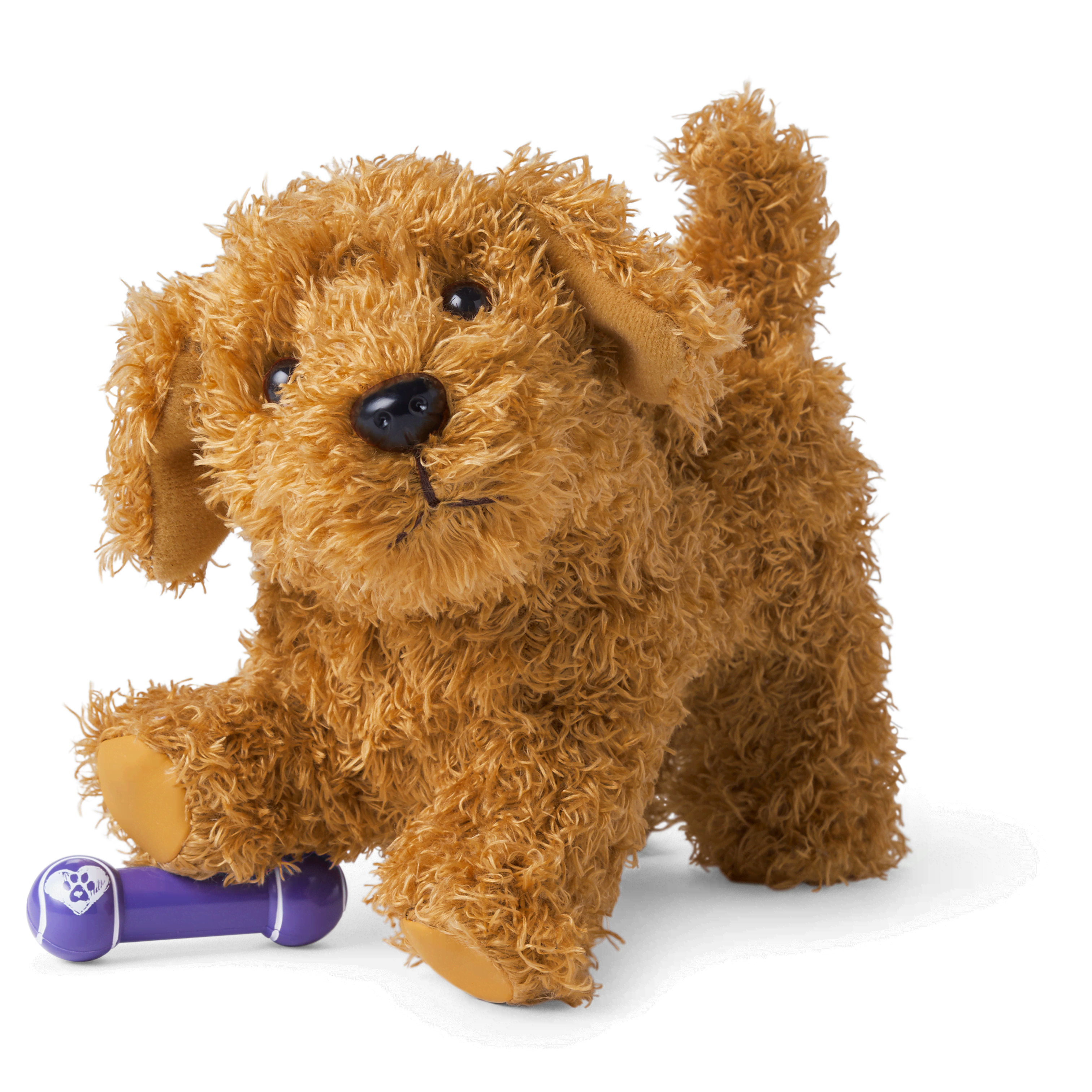 American girl and dog shop