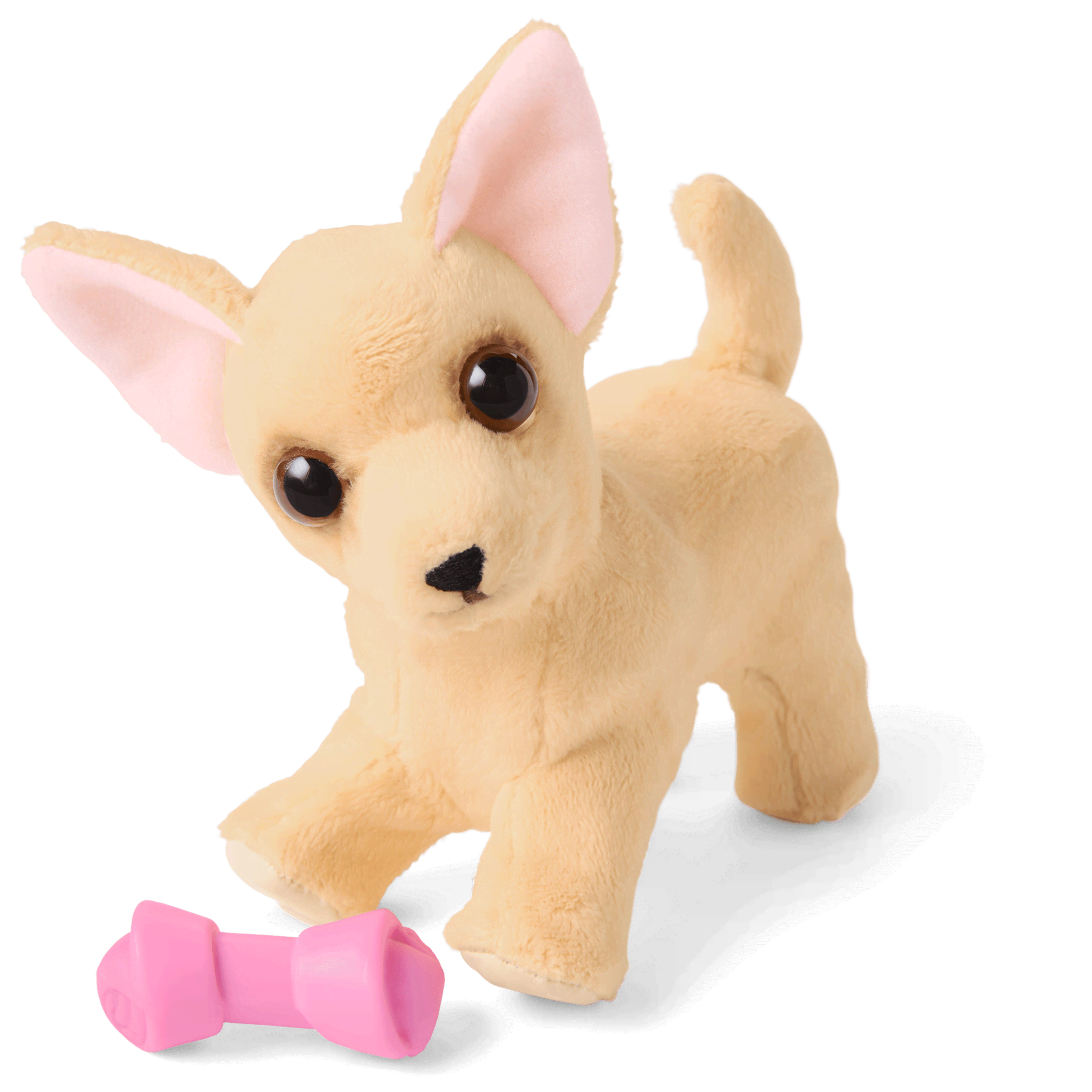 Claudie's™ Dog, Dizzy Dot™ | American Girl®