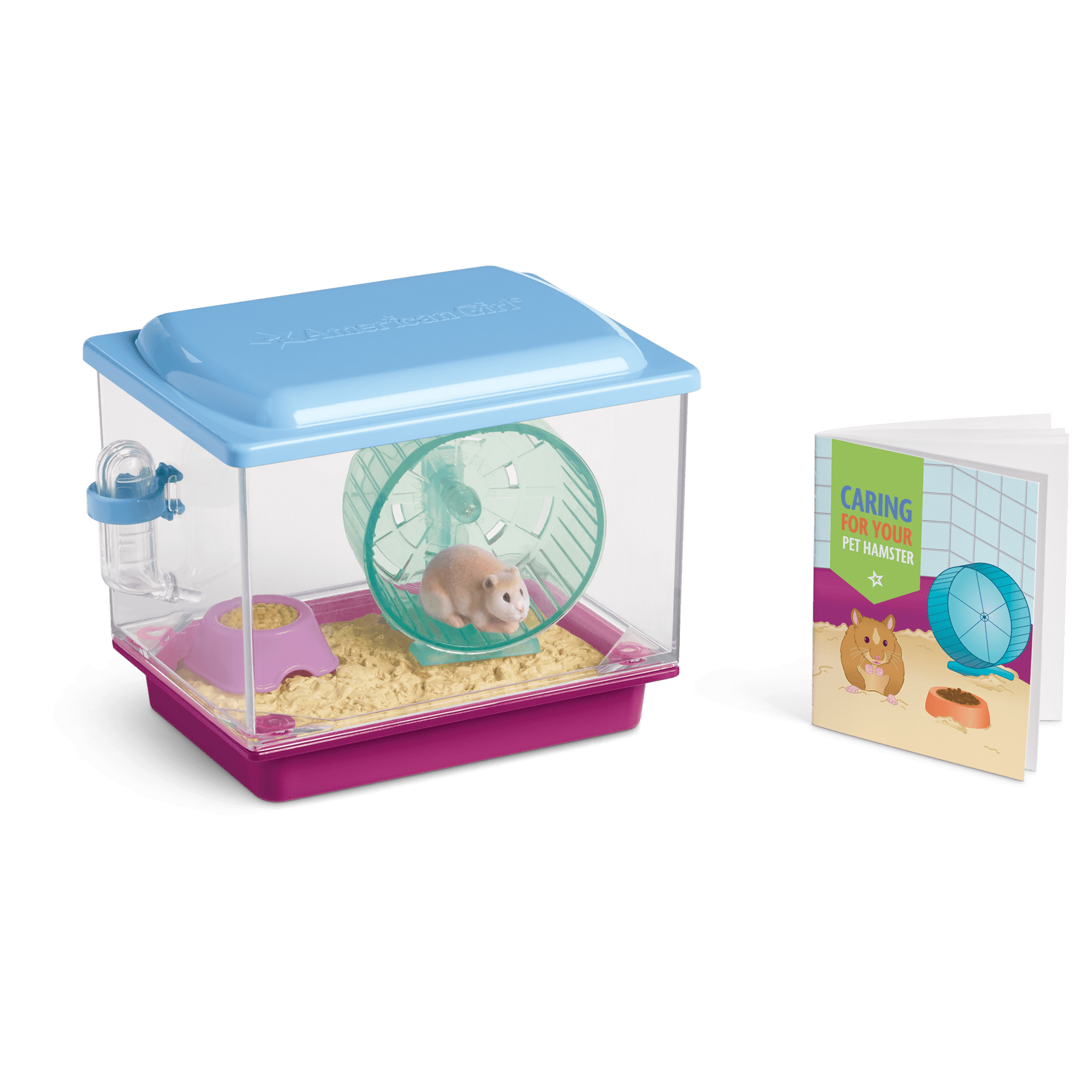 Hedgehog House American Girl