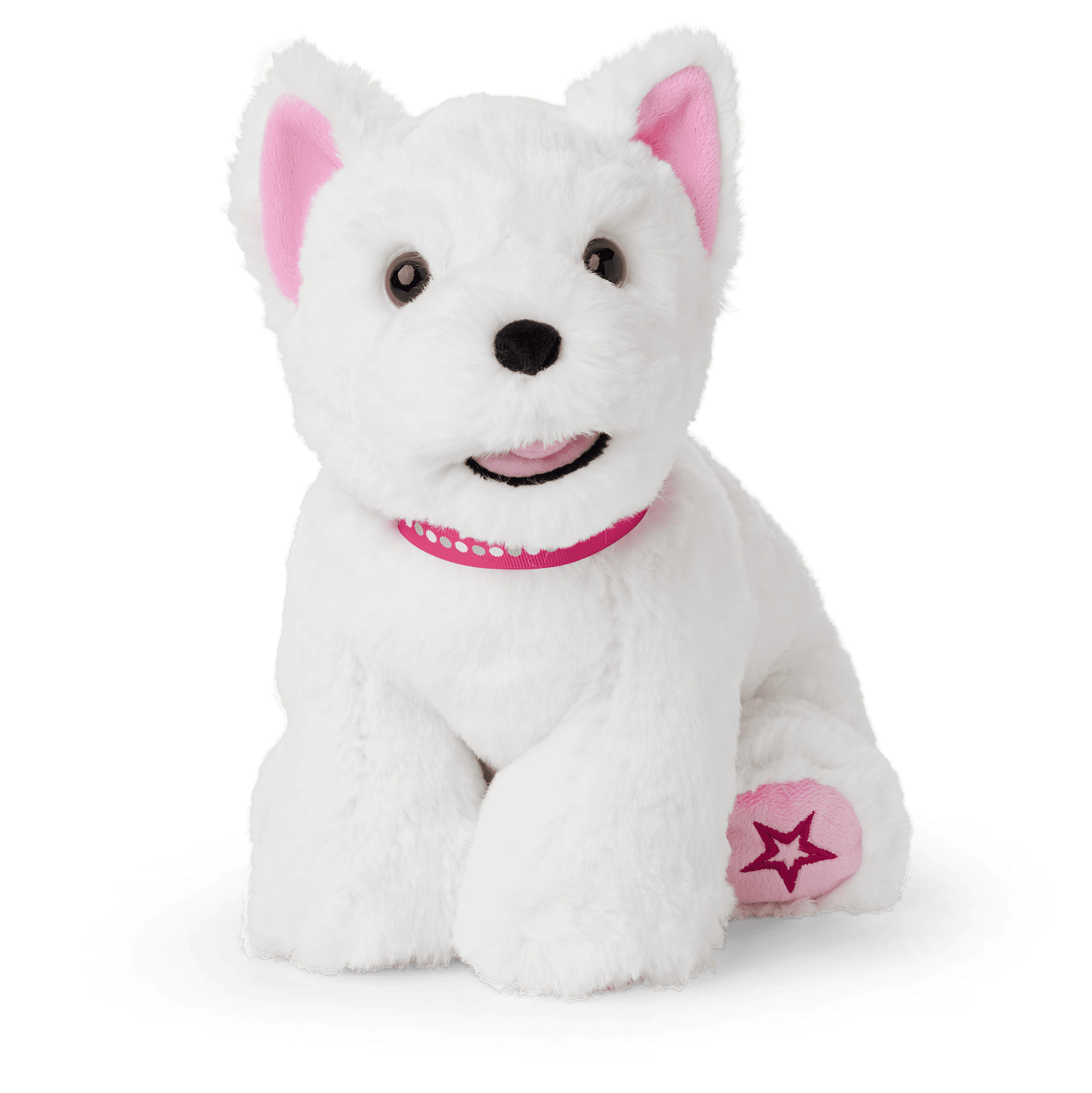 Coconut Chip Pet Lover Bundle American Girl