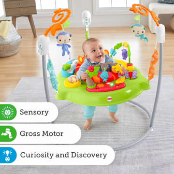 Jumperoo baby fisher price hotsell