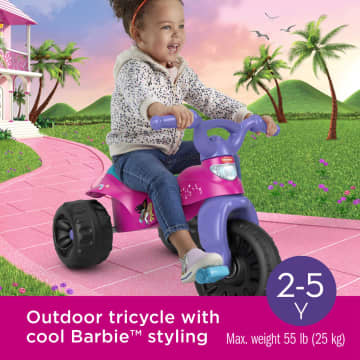 Fisher Price Nickelodeon PAW Patrol Lights Sounds Trike Mattel