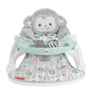 Fisher Price Sit Me Up Floor Seat With Toy Tray Mattel