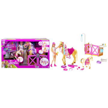 Barbie Dolls Horses And Accessories FXH15 MATTEL