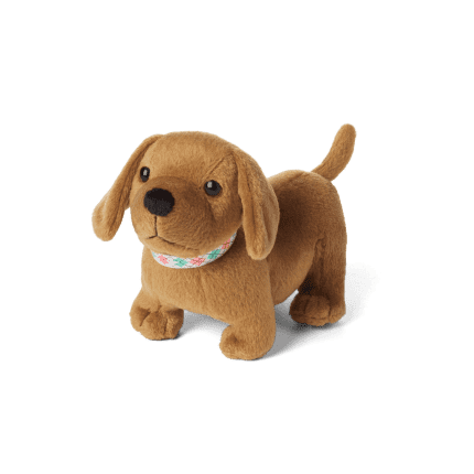 Maryellen's Dog, Scooter American Girl