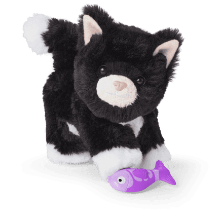 Licorice american girl cat store