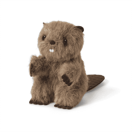 Beaver