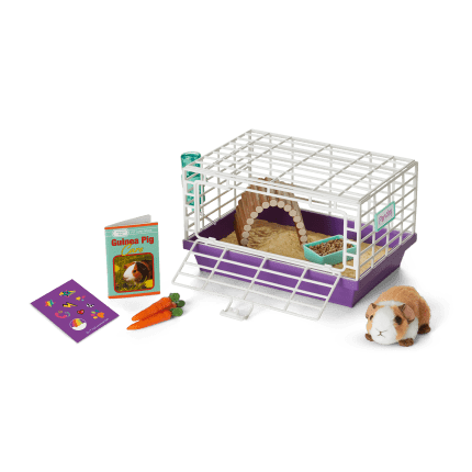 Courtney's™ Guinea Pig American Girl
