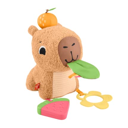 Fisher-Price Baby Brinquedo para Bebês capivara estímulos e jogo - Image 1 of 6