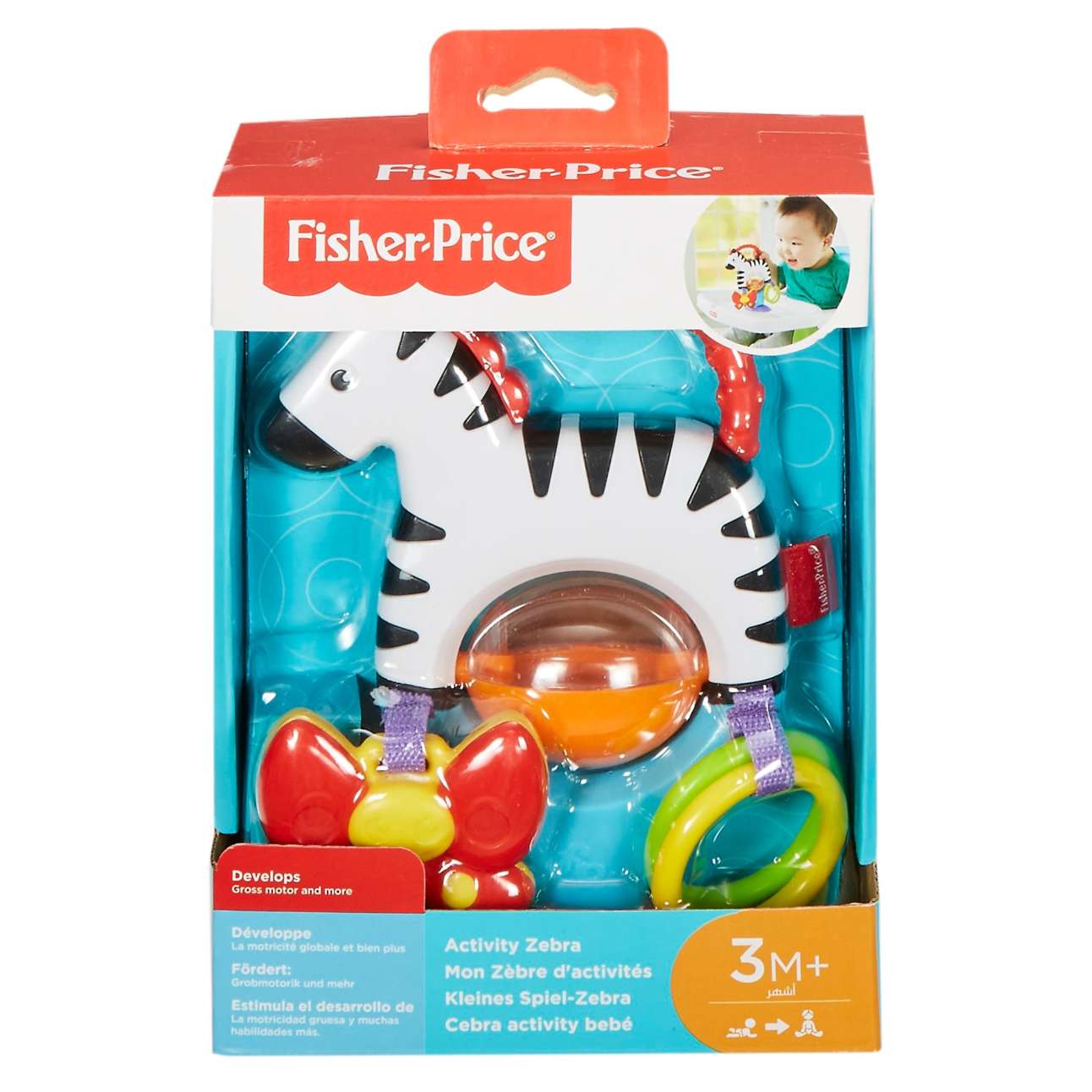 Activity Zebra - Image 1 of 1
