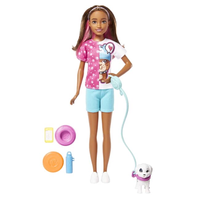 Barbie Toys, Skipper Doll And Dog Walker Set With Puppy And Accessories, First Jobs