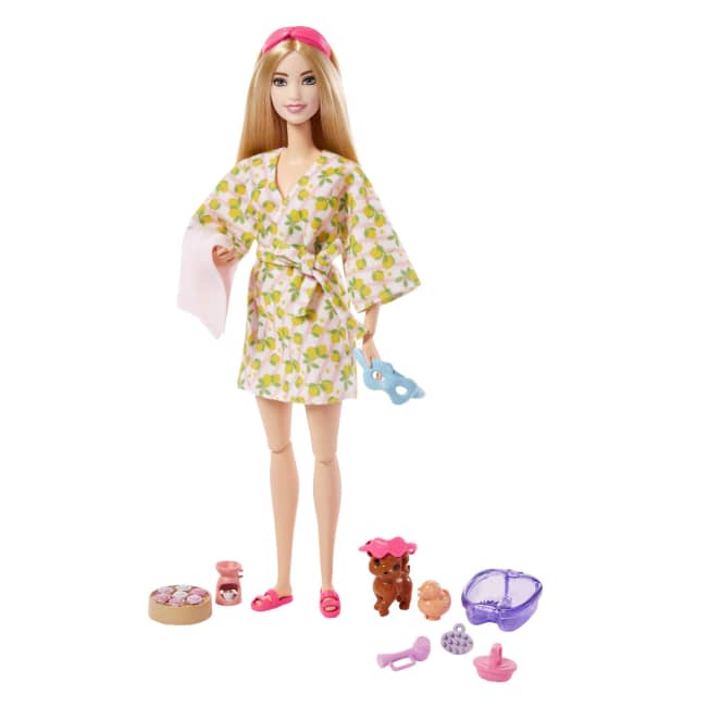 Barbie Self-Care Spa Day Possible Doll in Bathrobe With Puppy And Accessories