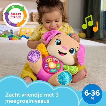 Fisher-Price Leerplezier Meegroeispeelgoed Zusje, Roze Muzikale Knuffel Voor Baby's, Leerzaam Speelgoed, Meertalige Versie - Image 2 of 6