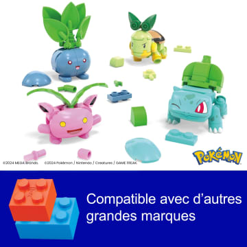 MEGA Pokémon-Dresseur De Pokémon Type Plante-Coffret De Construction