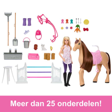 Barbie Mysteries The Great Horse Chase Speelgoedstal, Speelset Met Pop, Speelgoedpaard En Accessoires, Meer Dan 25 Onderdelen