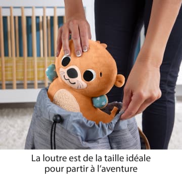 Fisher-Price-Loutre 2 En 1-Peluche Pour Jeu À Plat Ventre - Imagen 5 de 6