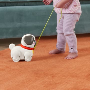 Sesli Ve Hareketli Fisher-Price Fp Pets Yürüyüş Arkadaşı Köpekçik Çekçekli Bebek Oyuncağı - Imagen 3 de 6