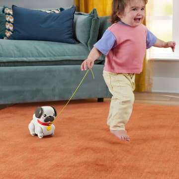 Sesli Ve Hareketli Fisher-Price Fp Pets Yürüyüş Arkadaşı Köpekçik Çekçekli Bebek Oyuncağı - Imagen 2 de 6