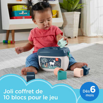 Fisher-Price – Mon Trieur De Formes
